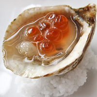 C Kusshi oyster