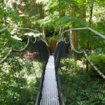 UBC Gardens: A Day Out in Nature