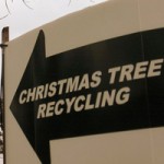 Christmas Tree Recycling Spots Around Vancouver