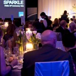 FWE Sparkle Gala: 10 Years Strong!