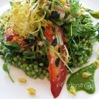 ORU poached lobster salad