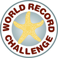 World Record icon