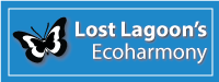 lost lagoon graphic
