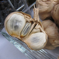 Black organic garlic bulb