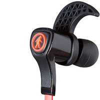 Orca earbuds