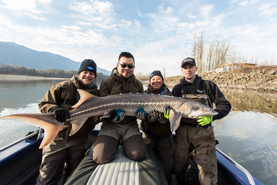 Fishing with Fraser River Lodge, 2015