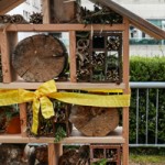 Saving the Bees, One Hotel at a Time
