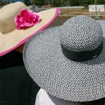 Fedoras and Fascinators: The Deighton Cup Lucky Number Seven at Hastings Racecourse