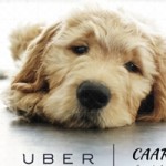 Uber Vancouver Spreads Puppy Love