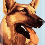 Designed for Impact: CSA Images Meets Drop-Test Protection with Speck CandyShell Inked Limited Edition