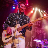 Steve Diggle of The Buzzcocks, 2016
