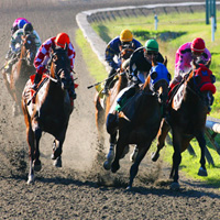 Hastings horse races