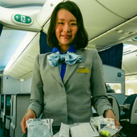All-Nippon Airways premium economy