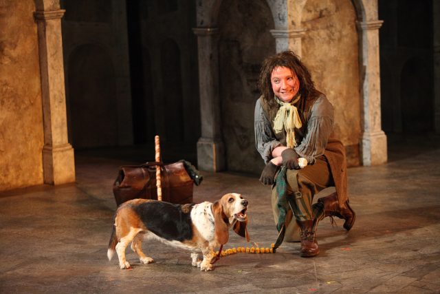 Andrew Cownden, Gertie the Basset hound