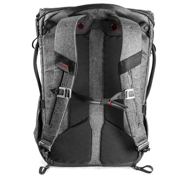 Everyday Backpack rear