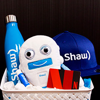 Shaw and Vancouverscape prize pack