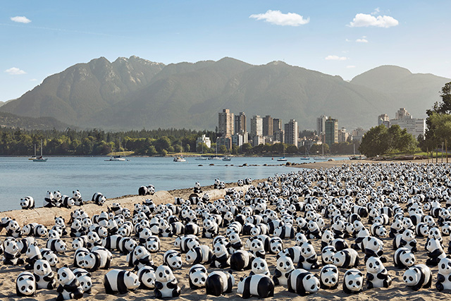 1600 Pandas World Tour Vancouver