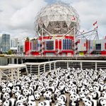 1600 Pandas+ World Tour Comes to Metropolis at Metrotown