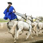Spotlight on Hungary: The Noble Horsemen of the Puszta