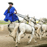 The Noble Horsemen of the Puszta