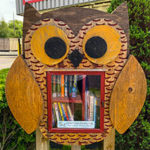 A Little Owl in South Vancouver Inspires Reading