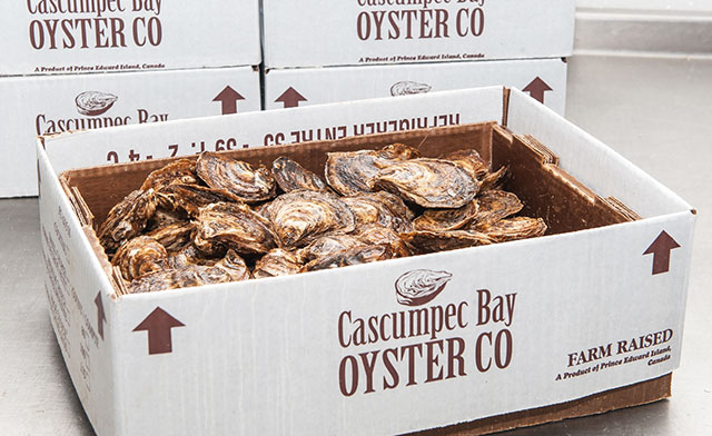 Cascumpec Bay Oysters