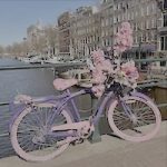 Dutch Street Market 3 Returns this Labour Day Weekend