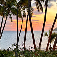 Tropica Island Resort Fiji