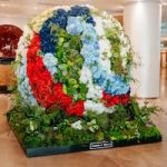 Fleurs de Villes Soccer-inspired Artistry Launches at Vancouver Luxury Hotels