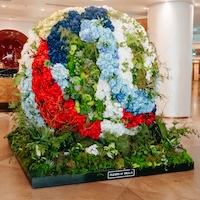 Fleurs de Villes