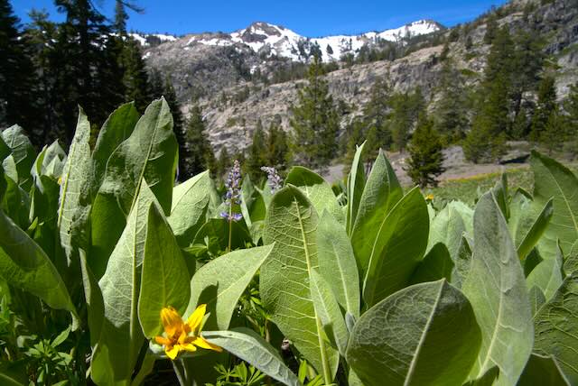 Granite Chief, Palisades Tahoe