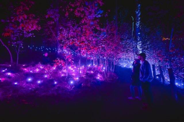 Astro Lumina